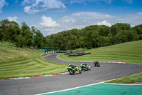 Middle Group Green Bikes